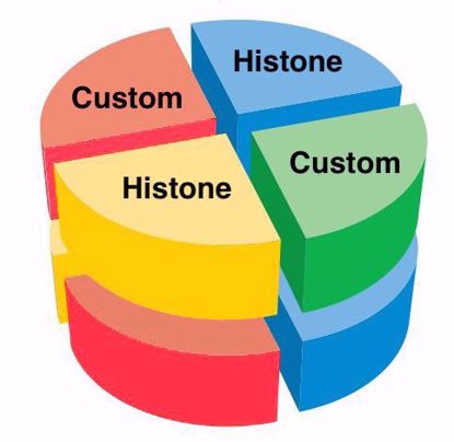 Picture of Custom histone prep