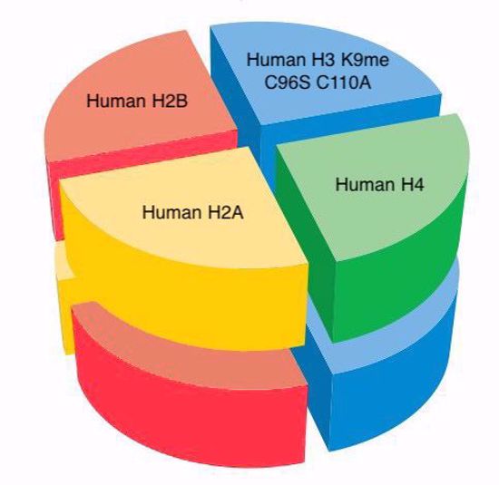 Picture of Human octamer with H3 K9me C96S C110A - 1 mg