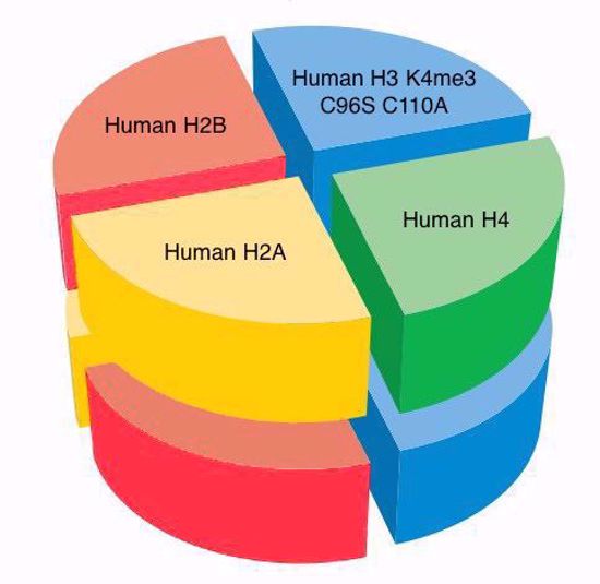 Picture of Human octamer with H3 K4me3 C96S C110A - 0.5 mg