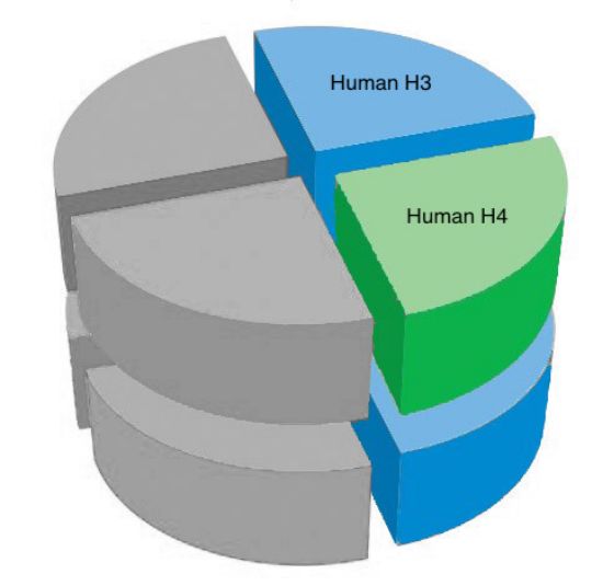 Picture of Human tetramer - 1 mg